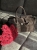 IMG_0307.jpeg